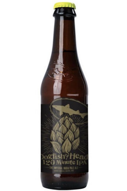 Dogfish Head 120 Minute IPA 12OZ