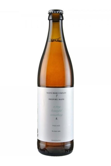 Maine Beer A Tiny Beautiful Something 500ML