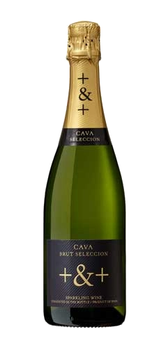 Plus & Plus Cava